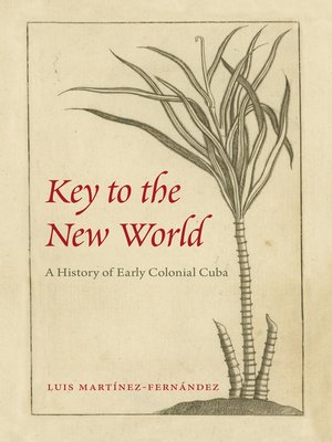 cover image of Key to the New World